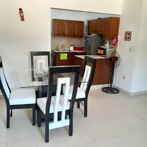 Comodo En El Centro De La Ciudad , Santiago De Los Caballeros República Dominicana